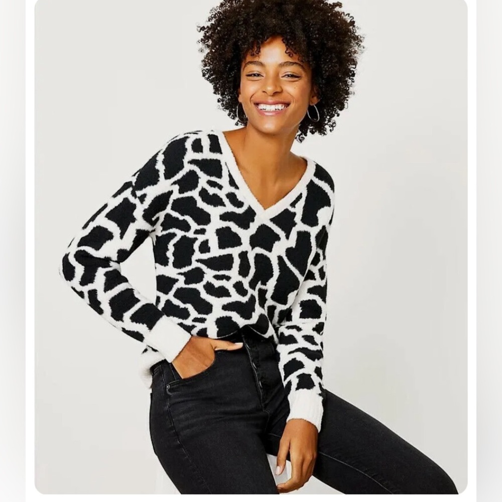 Ann Taylor Loft Sweater
